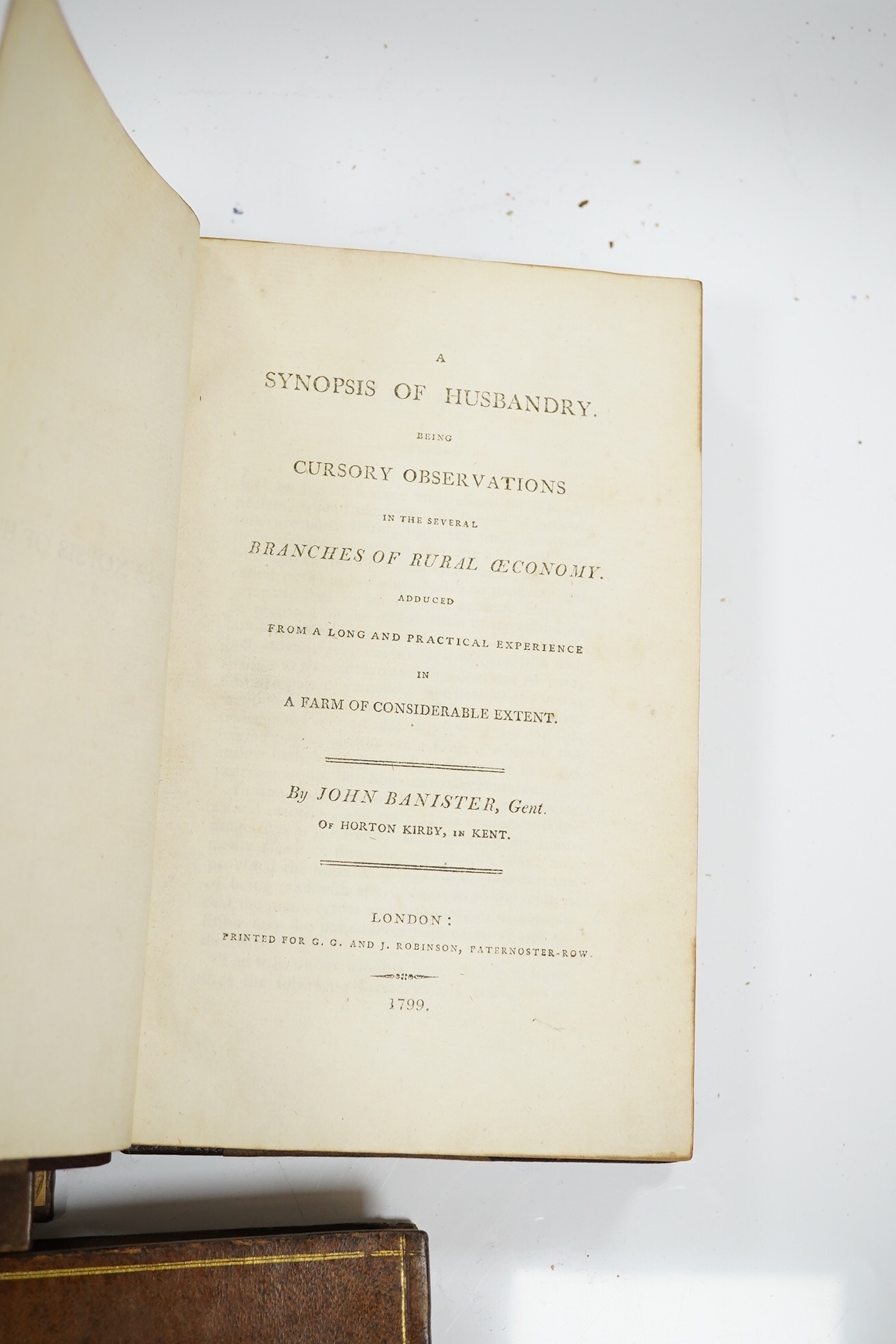 Banister, John - A Synopsis of Husbandry. Being cursory observations in the several branches of rural economy....folded table; rebound chocolate half morocco and paper boards, gilt lettered panelled spine. 1799; Harrison